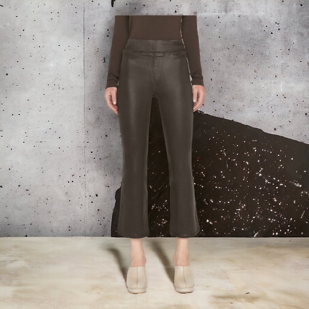 FRAME JET SET CROP MINI BOOTCUT PANTS EXPRESSO COATED SIZE 2 (29-34)